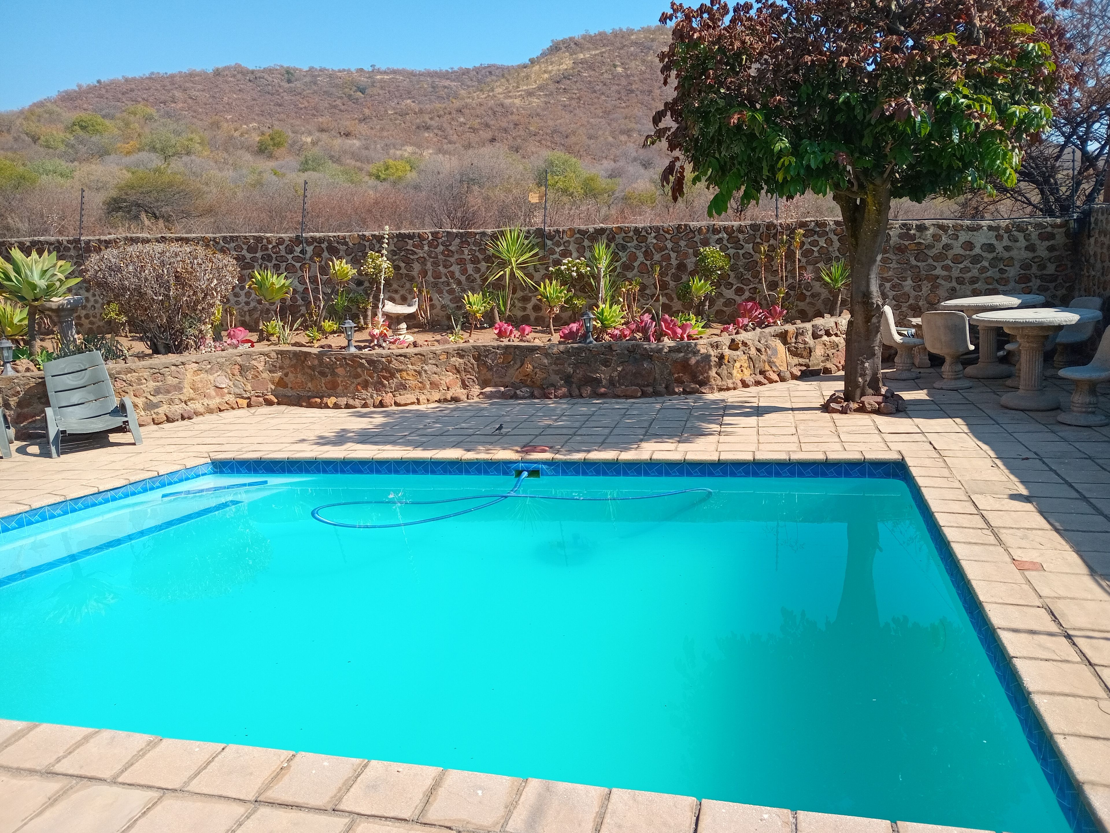 A swimming pool with a stone wall and plants in the background.