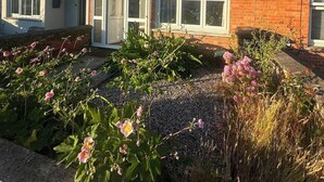 A row of terraced houses with front gardens. - Bude Surf Shack | Walk to the beach | Dog-friendly | Sleeps 5 (Bude)