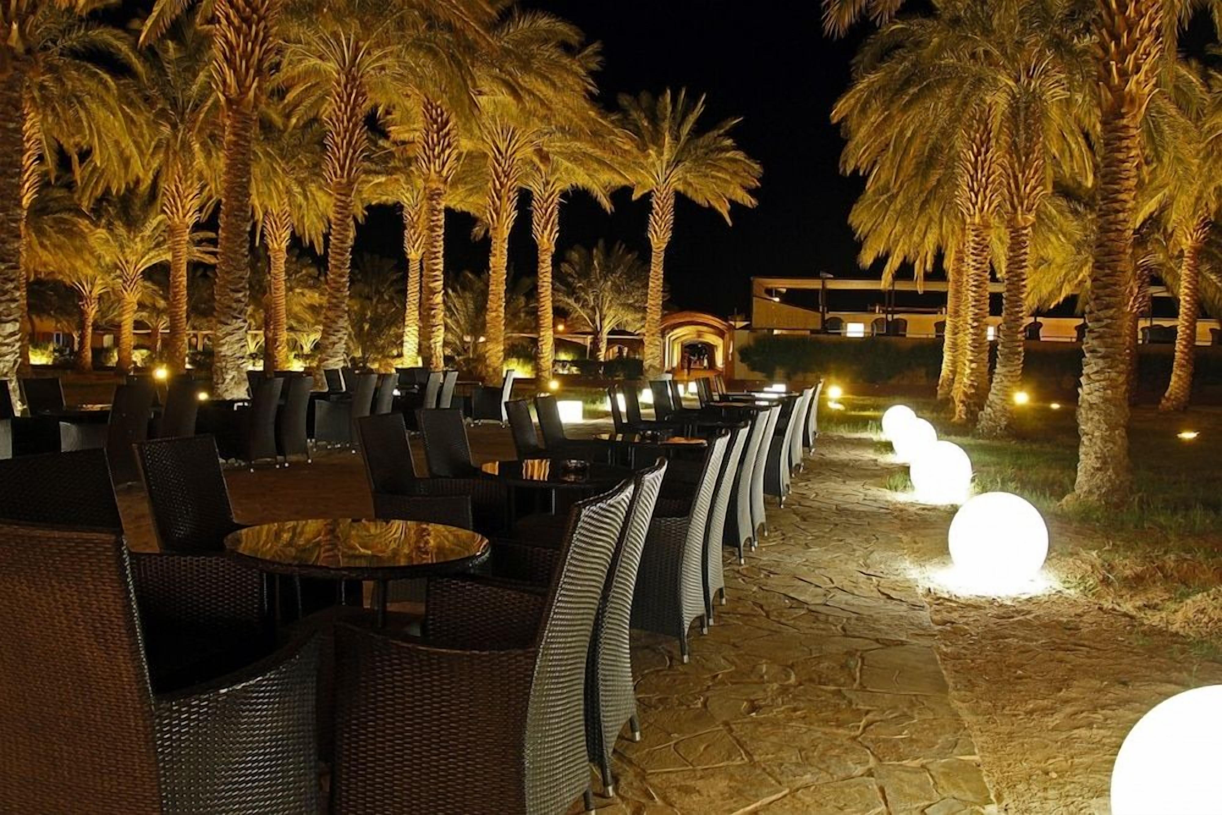 An outdoor seating area with tables and chairs, palm trees, and a stone pathway.
