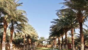 A pathway lined with palm trees leading to outdoor seating areas. - Hotel Mraguen (Adrar)