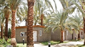 A row of palm tree-lined buildings with a paved walkway. - Hotel Mraguen (Adrar)