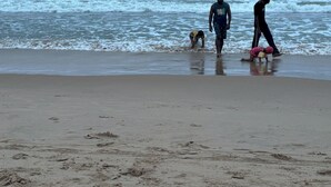 Een strand met een boot in de verte, mensen die langs de kust wandelen en een hond.