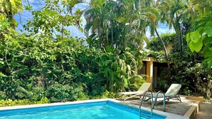 Una piscina azul cristalina rodeada de exuberante vegetación y dos sillas de descanso.