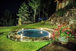 A swimming pool with a stone edge, surrounded by grass and a flower pot.