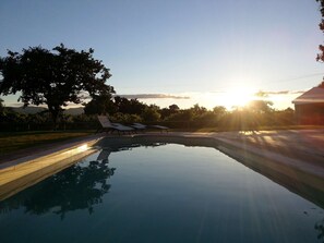 Ein klares Schwimmbecken mit Liegestühlen und einem Baum im Hintergrund.