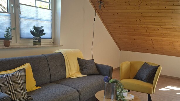Une pièce de style « loft » avec un plafond en pente, un canapé gris, un fauteuil jaune, un tapis à motifs et une petite table sur laquelle est posée une plante.
