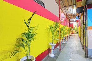 A narrow corridor with potted plants and a brightly colored wall.