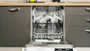 A modern kitchen with grey cabinets, a stainless steel dishwasher, and a countertop with a kettle and a bottle. - White tulip apartment (Safi)