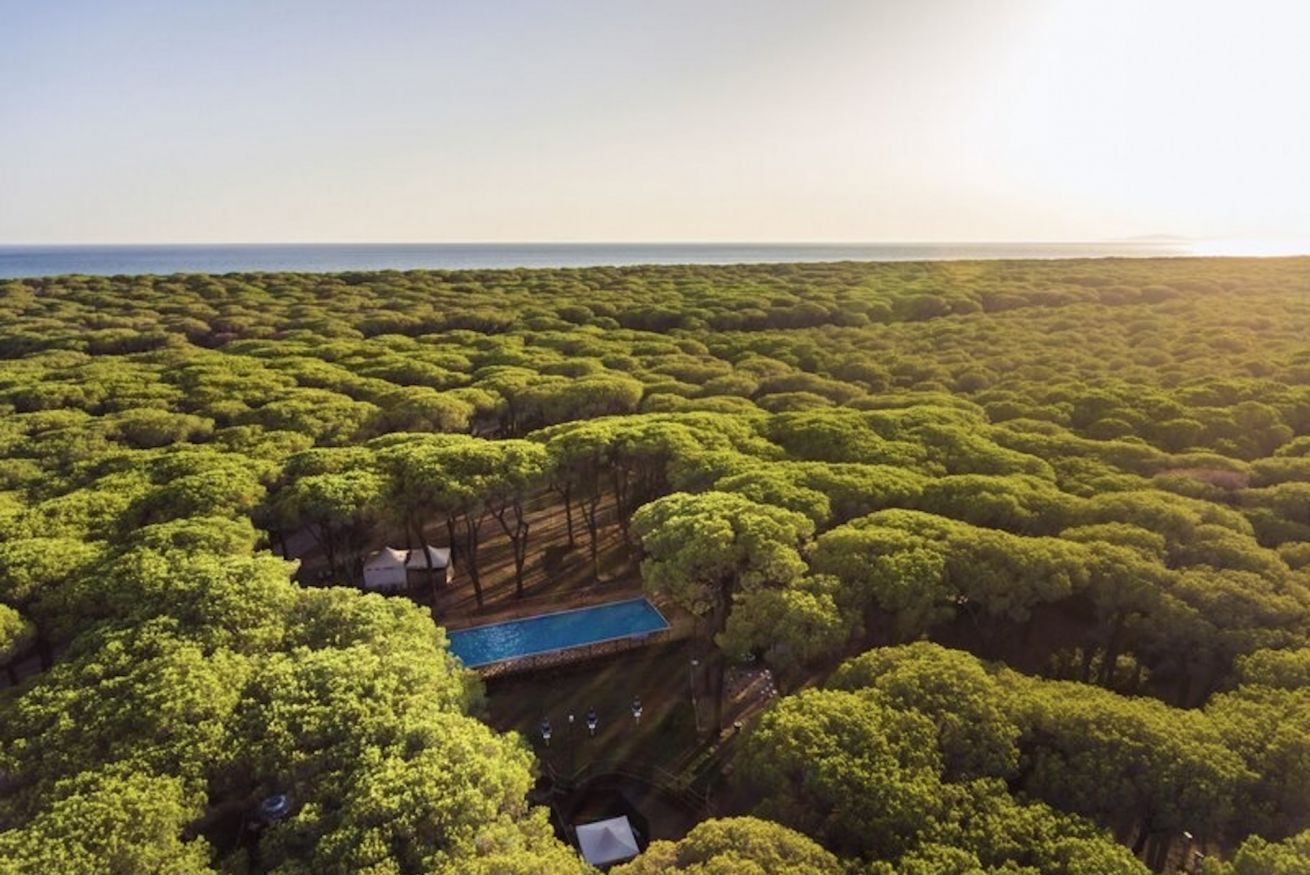 An aerial view of a property with a swimming pool surrounded by dense greenery and a clear view of the ocean.