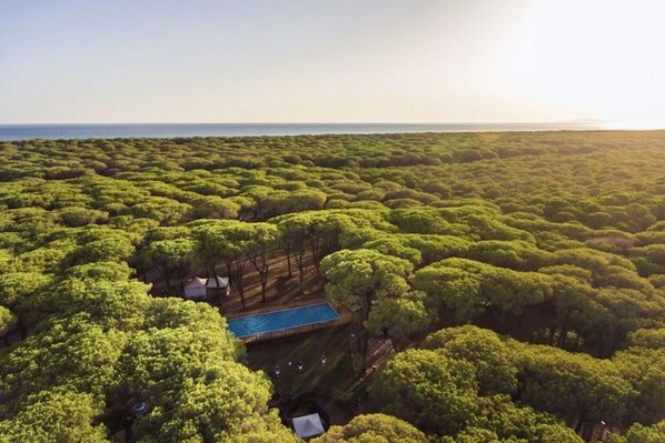 An aerial view of a property with a swimming pool surrounded by dense greenery and a clear view of the ocean.