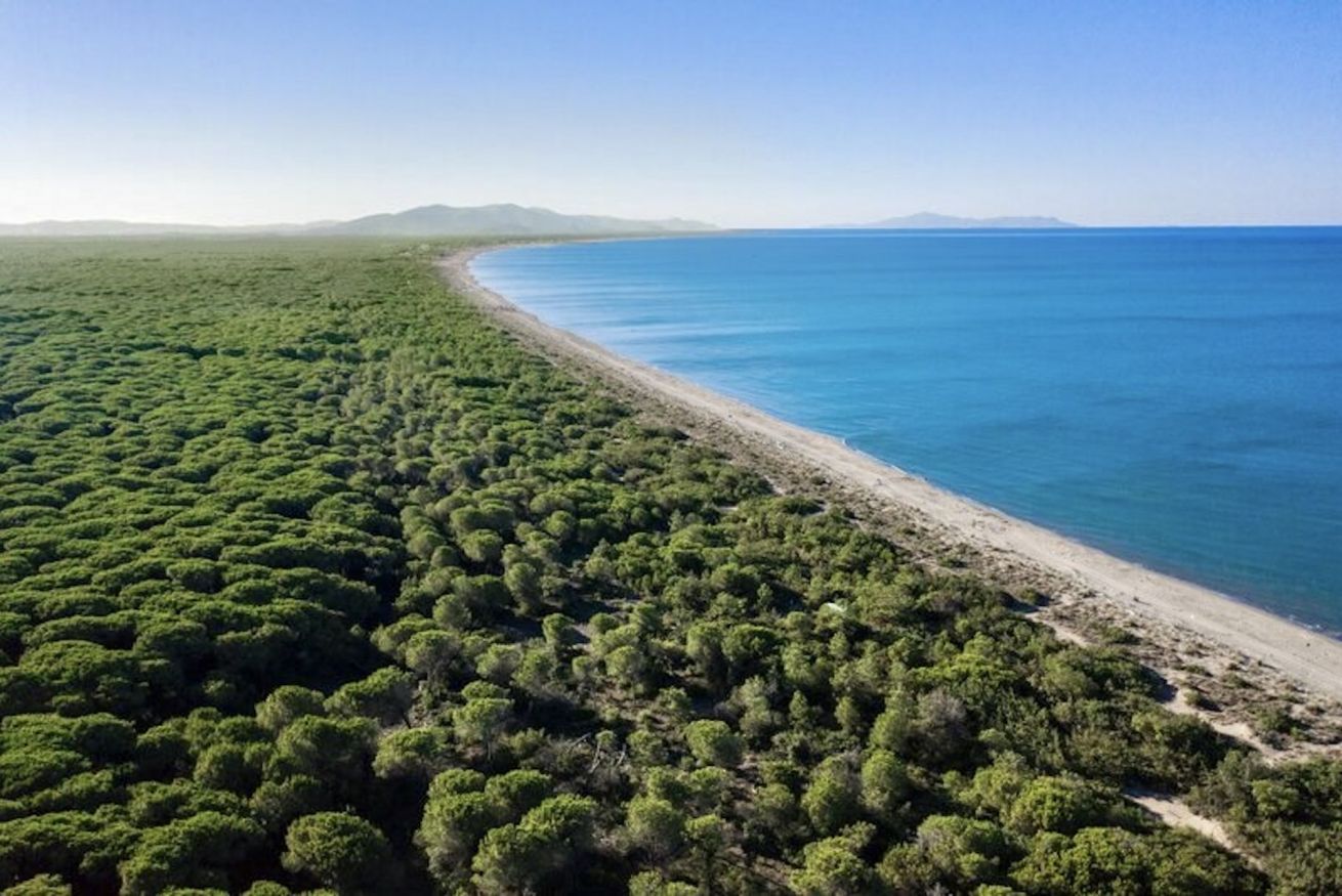 A coastal landscape with dense vegetation and a clear view of the ocean.