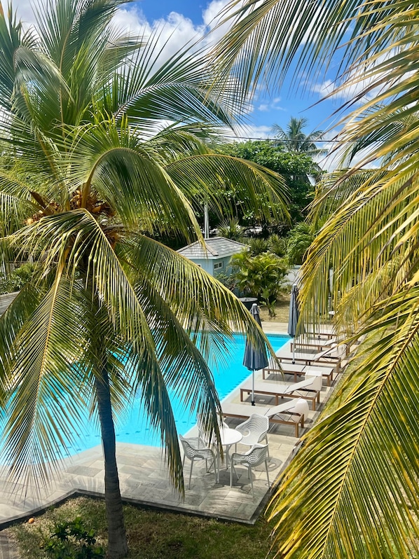 A pool area with lounge chairs and umbrellas, surrounded by palm trees.