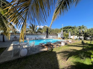 En swimmingpool med liggestole og parasoller, omgivet af palmer og en klar himmel.