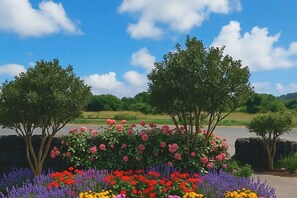 Un jardín ajardinado con árboles y flores coloridas.