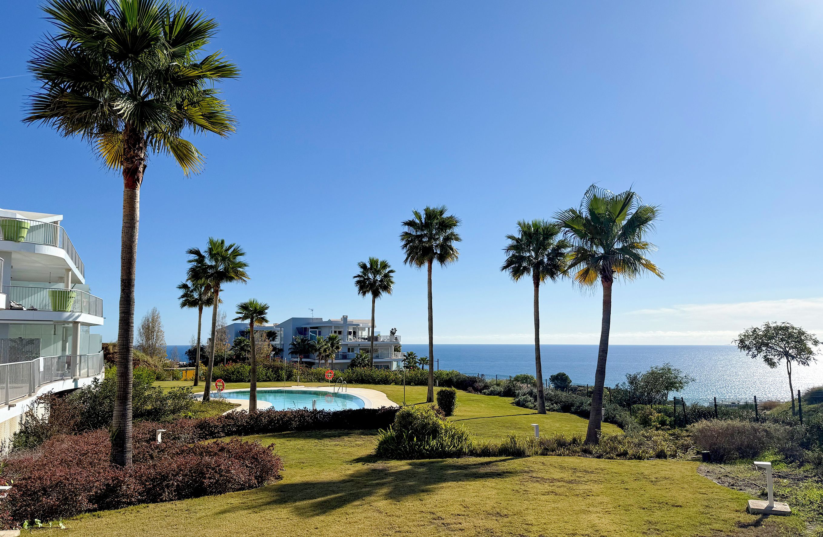 Un resort con piscina, palmeras y vista al océano.