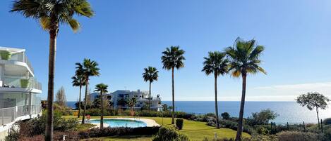 Un resort con piscina, palmeras y vista al océano.