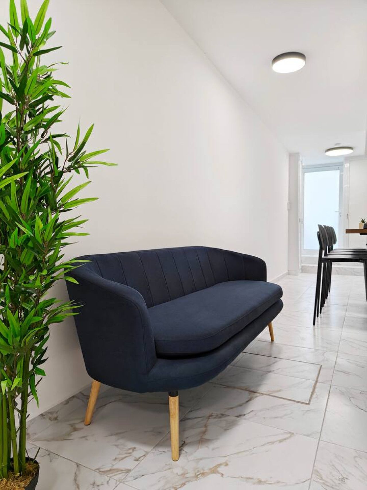 Una sala moderna con un sofá azul oscuro, una planta alta de color verde y un comedor con sillas.