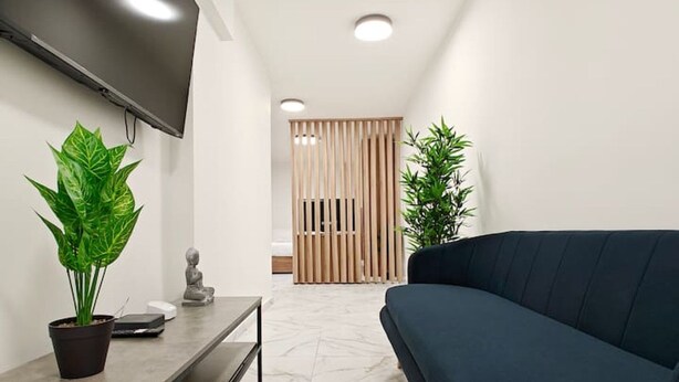 Una sala de estar moderna con un televisor de pantalla plana montado en la pared, un sofá oscuro, un separador de madera y dos plantas en macetas.