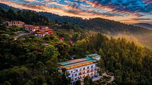 A multi-story building with a green roof, surrounded by dense forest, and a mountainous backdrop. - LA Riqueza Dhanolti (Dhanolti)