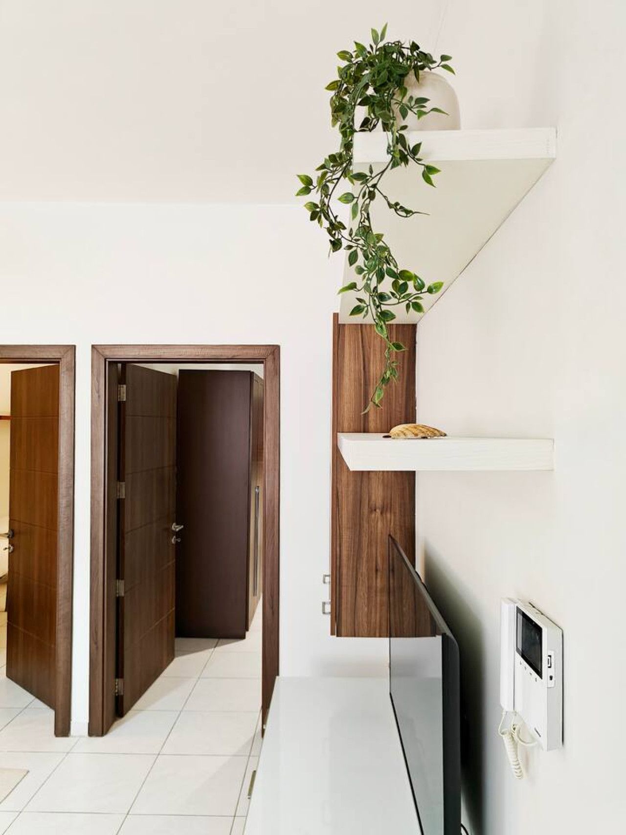 Ein modernes Interieur mit einer weißen Wand, einer Holztür, einem weißen Regal mit einer Pflanze und einem an der Wand befestigten Gerät.