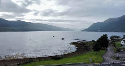 The Stray Cat | Loch Duich Lodge Near Skye & Eilean Donan