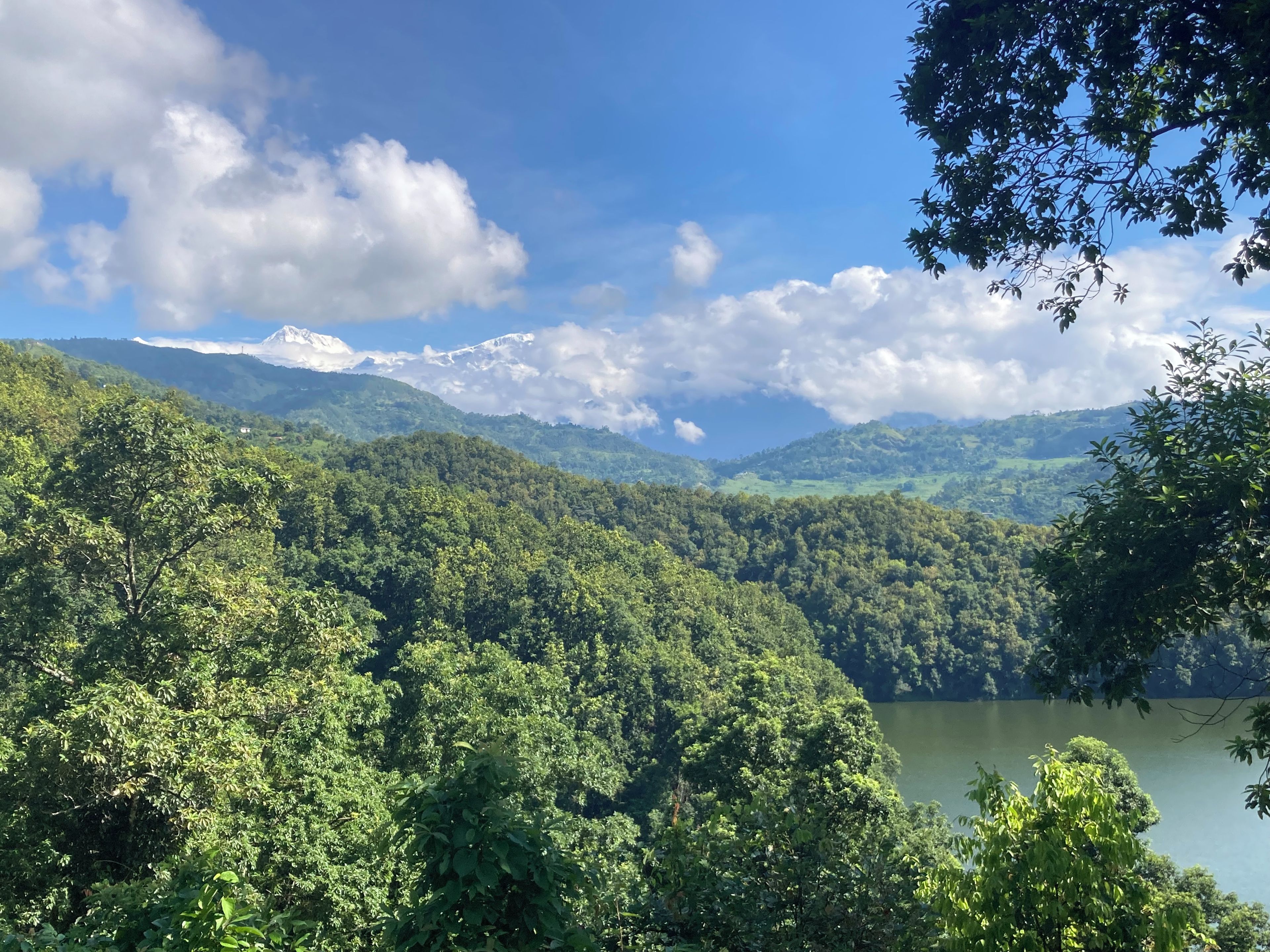 Un paysage montagneux avec une forêt dense et un lac.