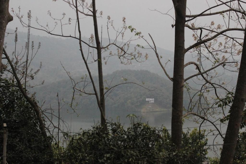 A natural landscape with trees and a distant view of Begnas Lake.