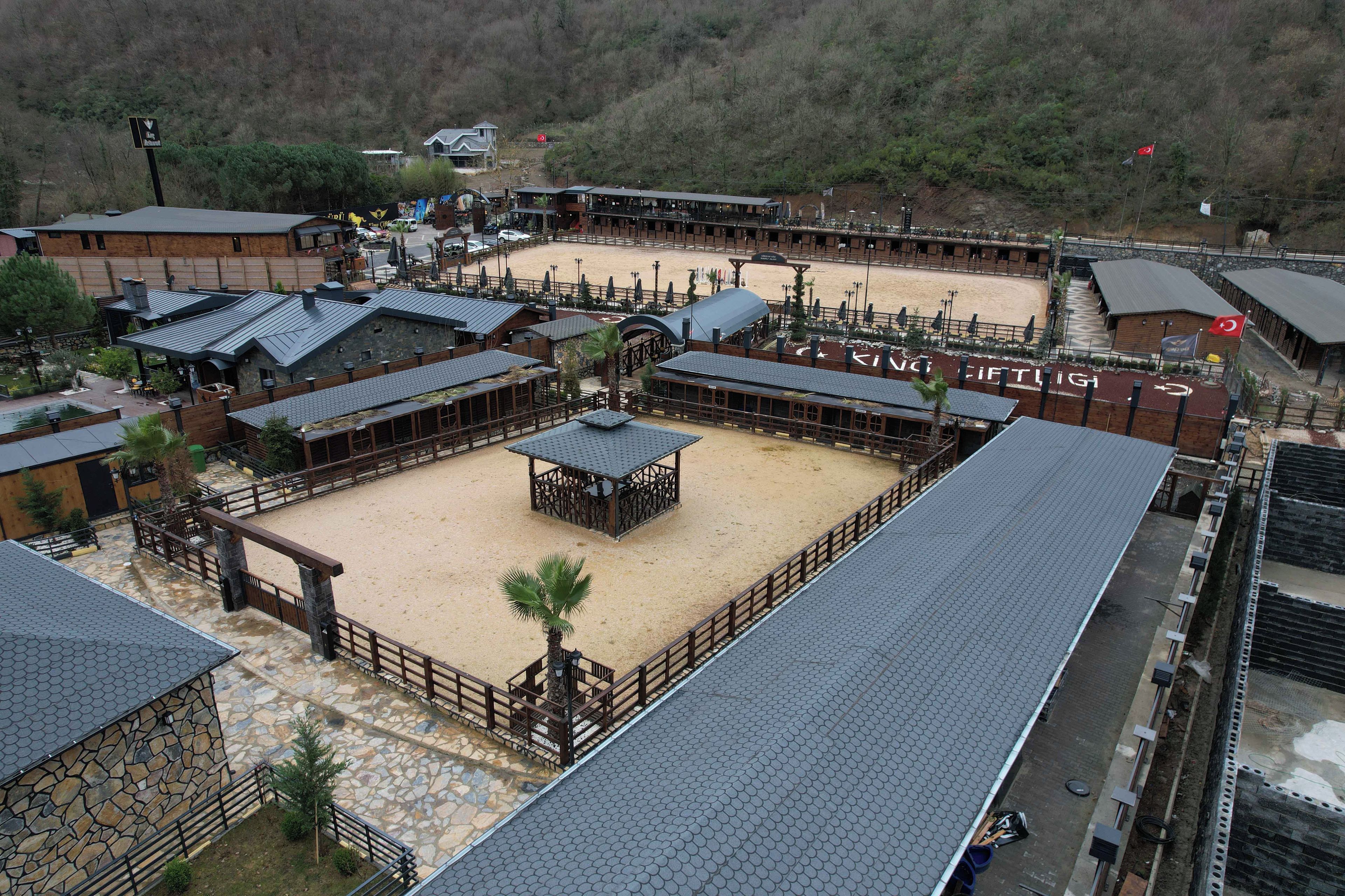 Horseback riding