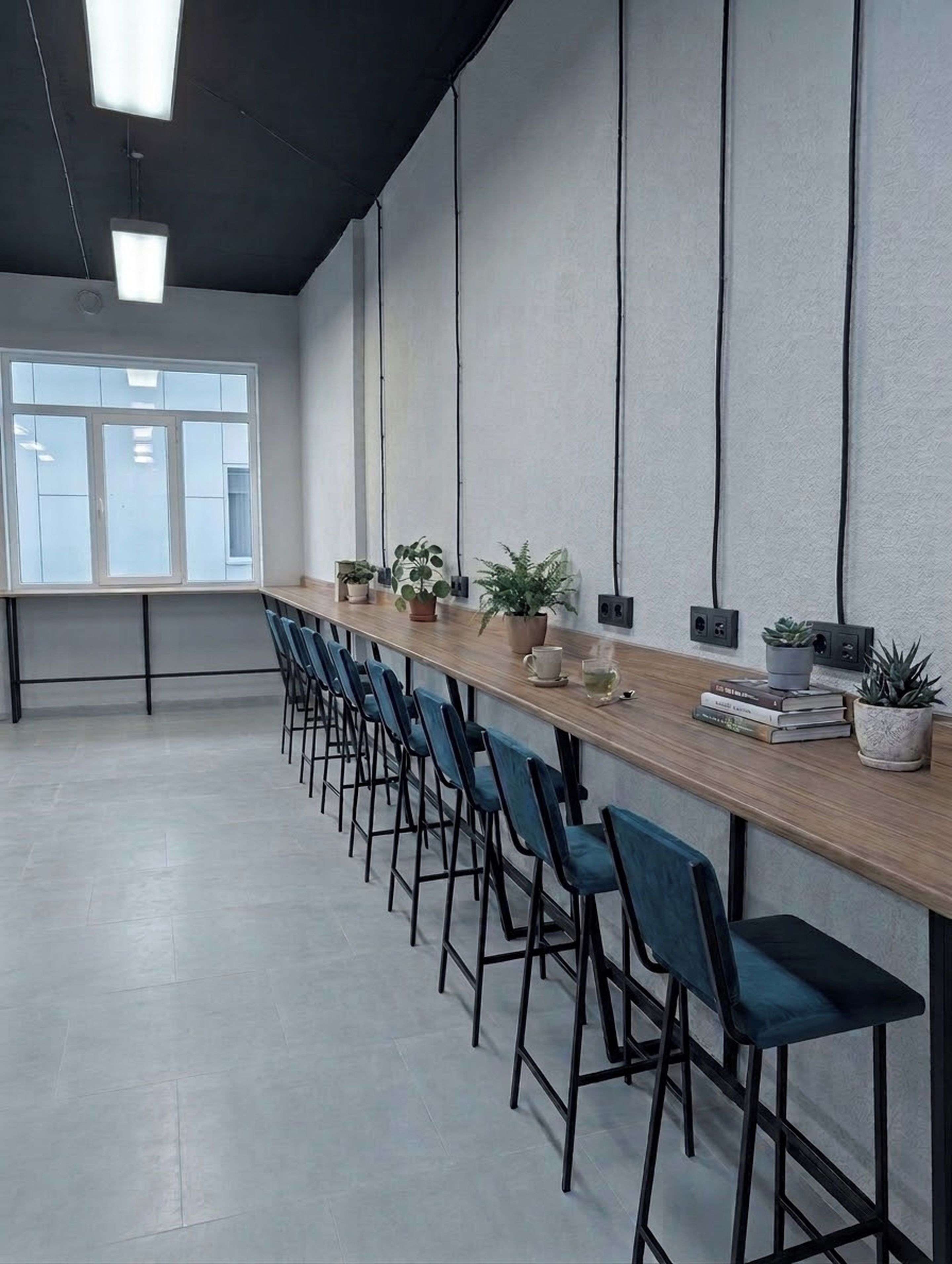 Un salón de conferencias con una larga mesa, sillas azules, plantas en macetas y un amplio ventanal.