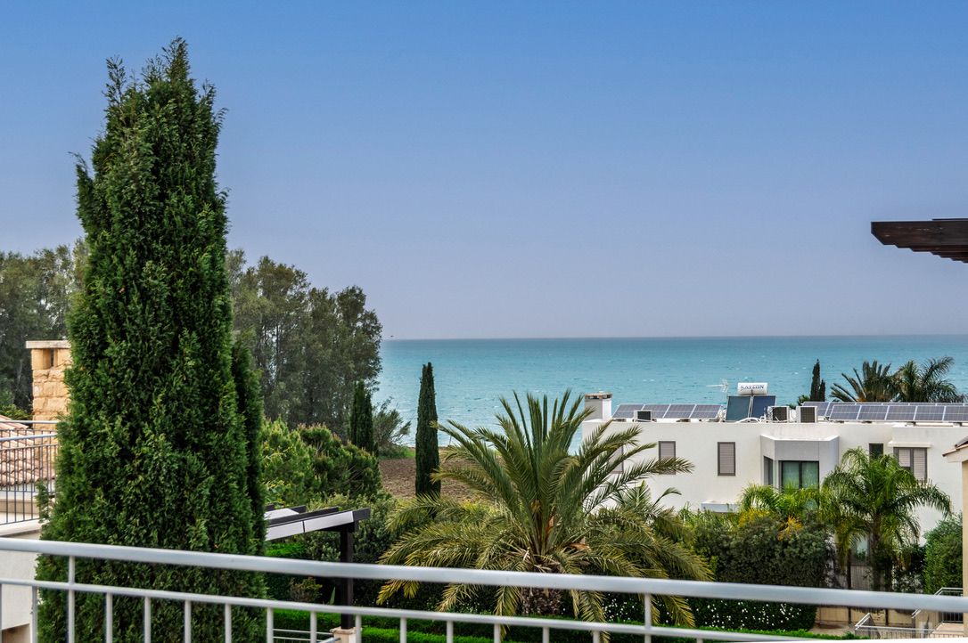 A coastal residential area with a view of the sea, a tall coniferous tree, and modern buildings with solar panels.