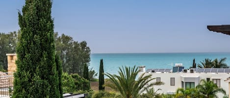 A coastal residential area with a view of the sea, a tall coniferous tree, and modern buildings with solar panels.