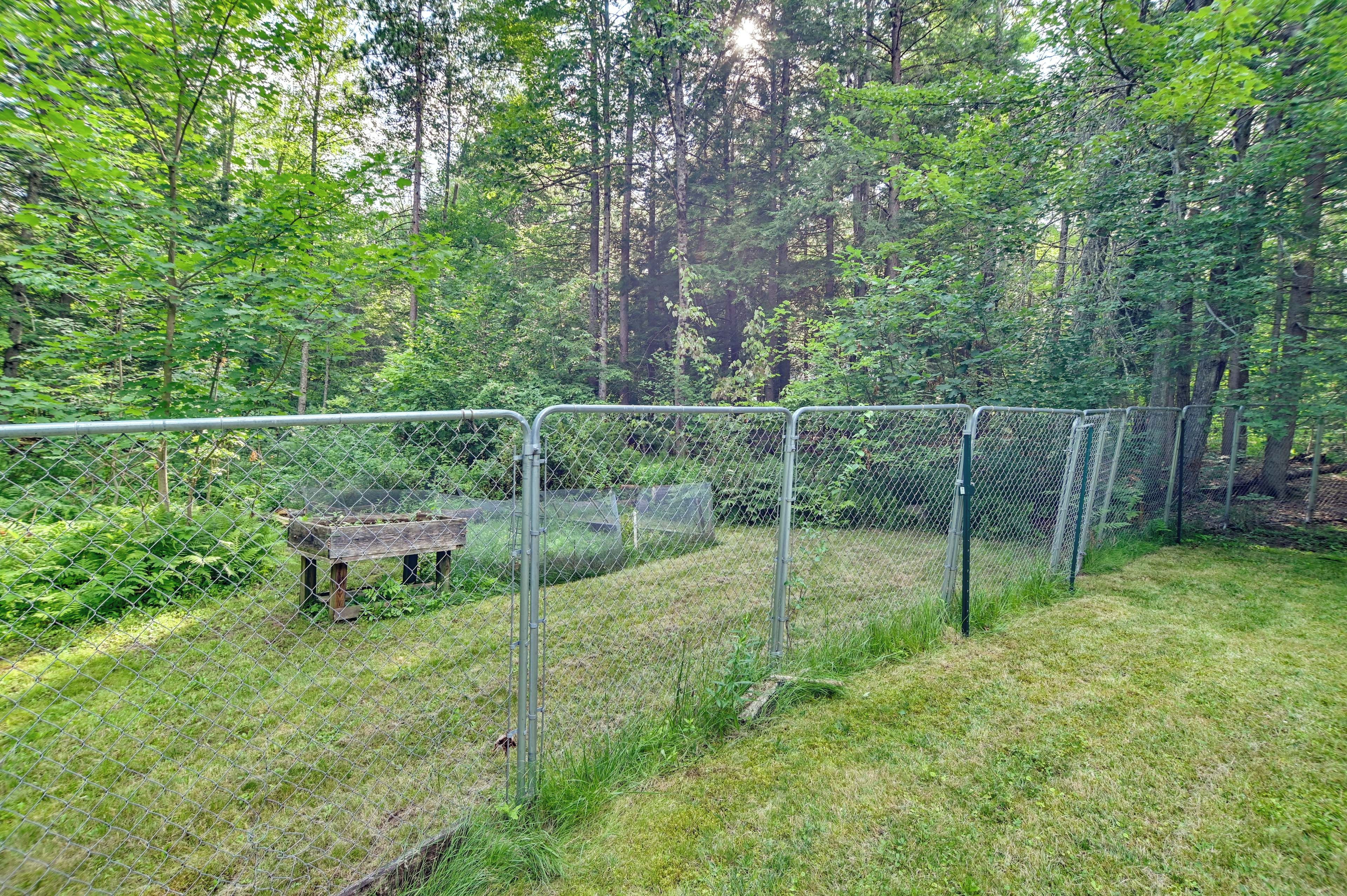 A fenced outdoor area with a bench and a chain-link fence.