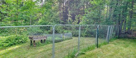 A fenced outdoor area with a bench and a chain-link fence.