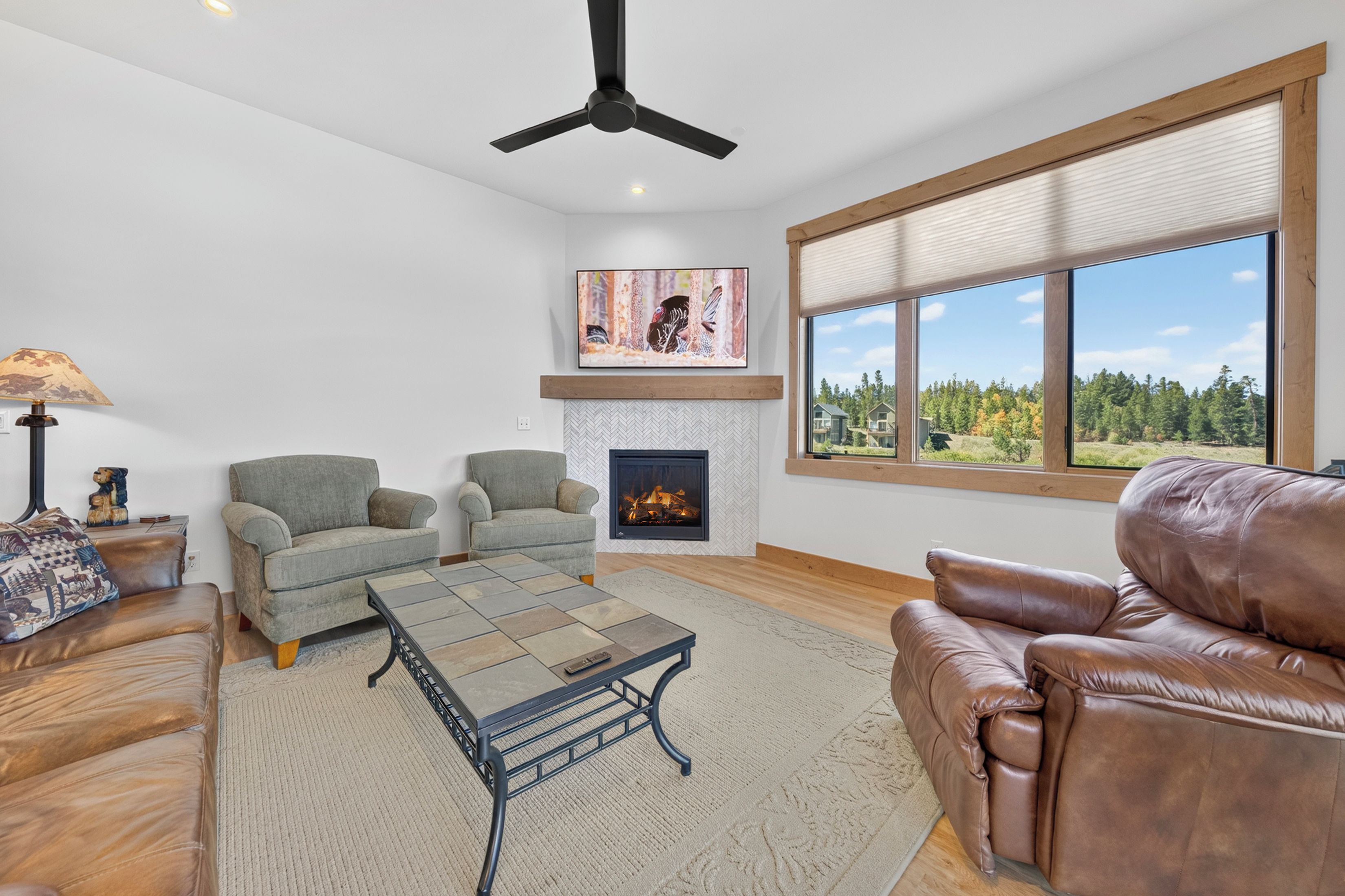 Smart TV, fireplace