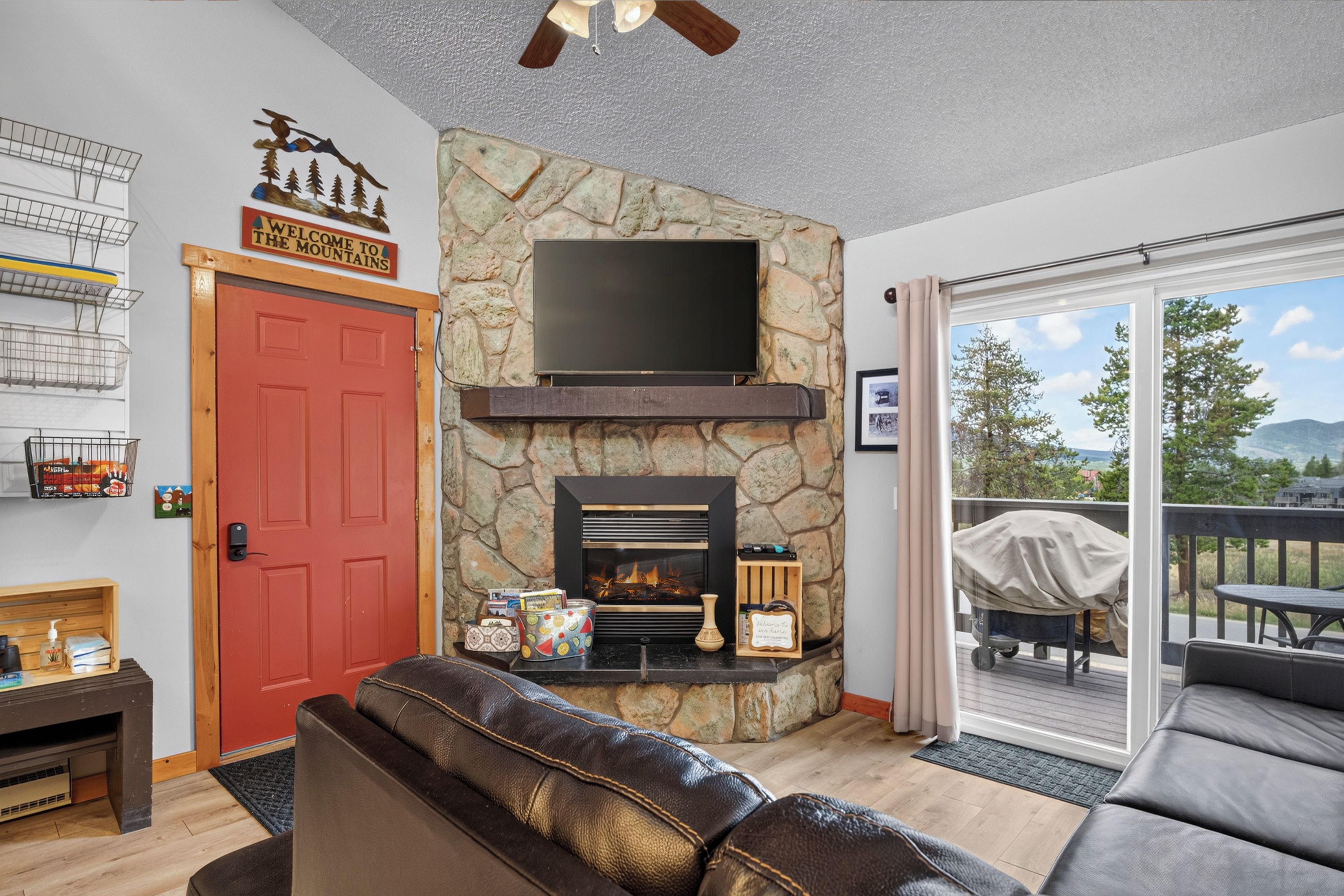 TV, fireplace