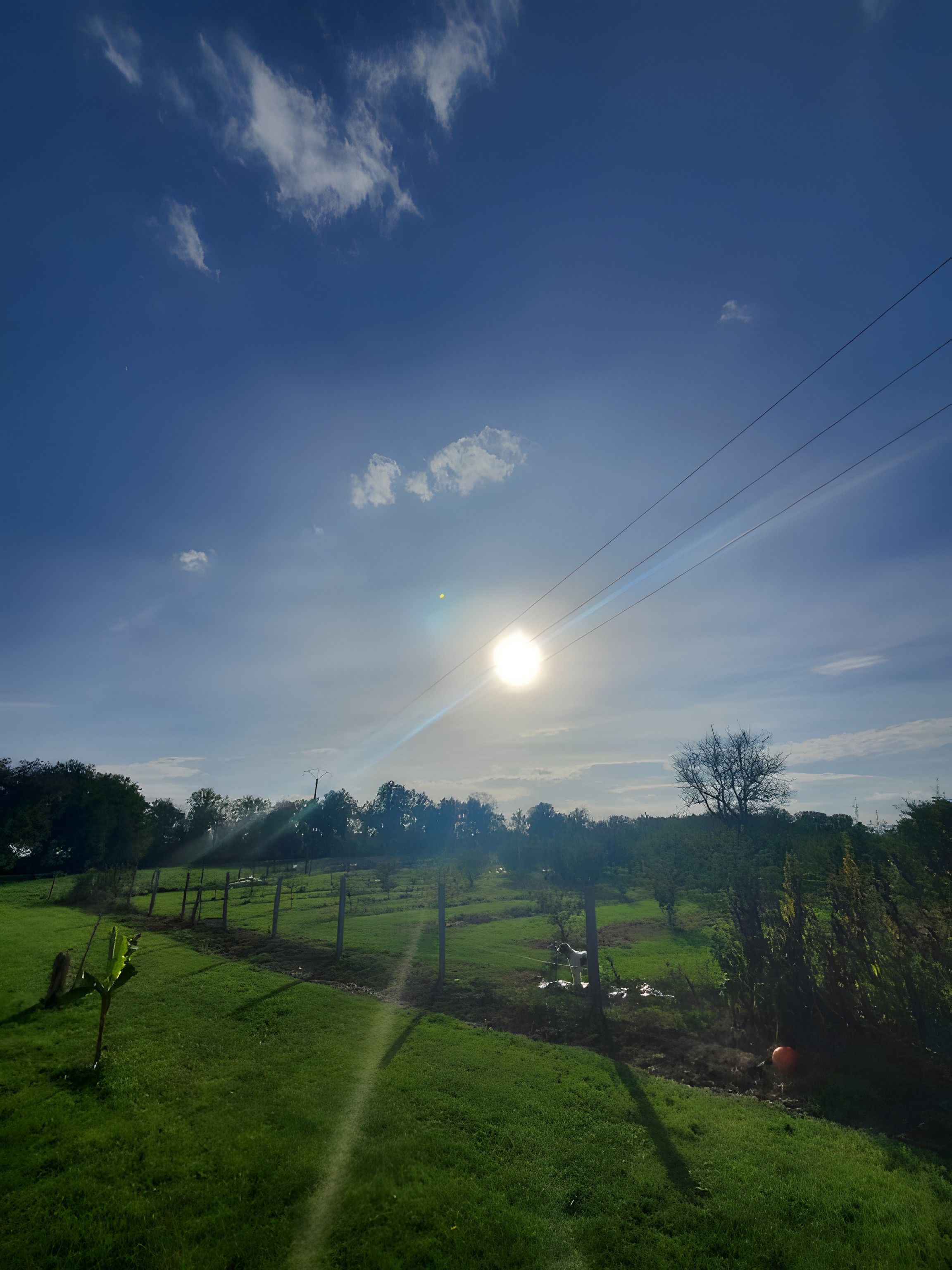 Paisagem rural com céu limpo, sol baixo no horizonte e cerca.