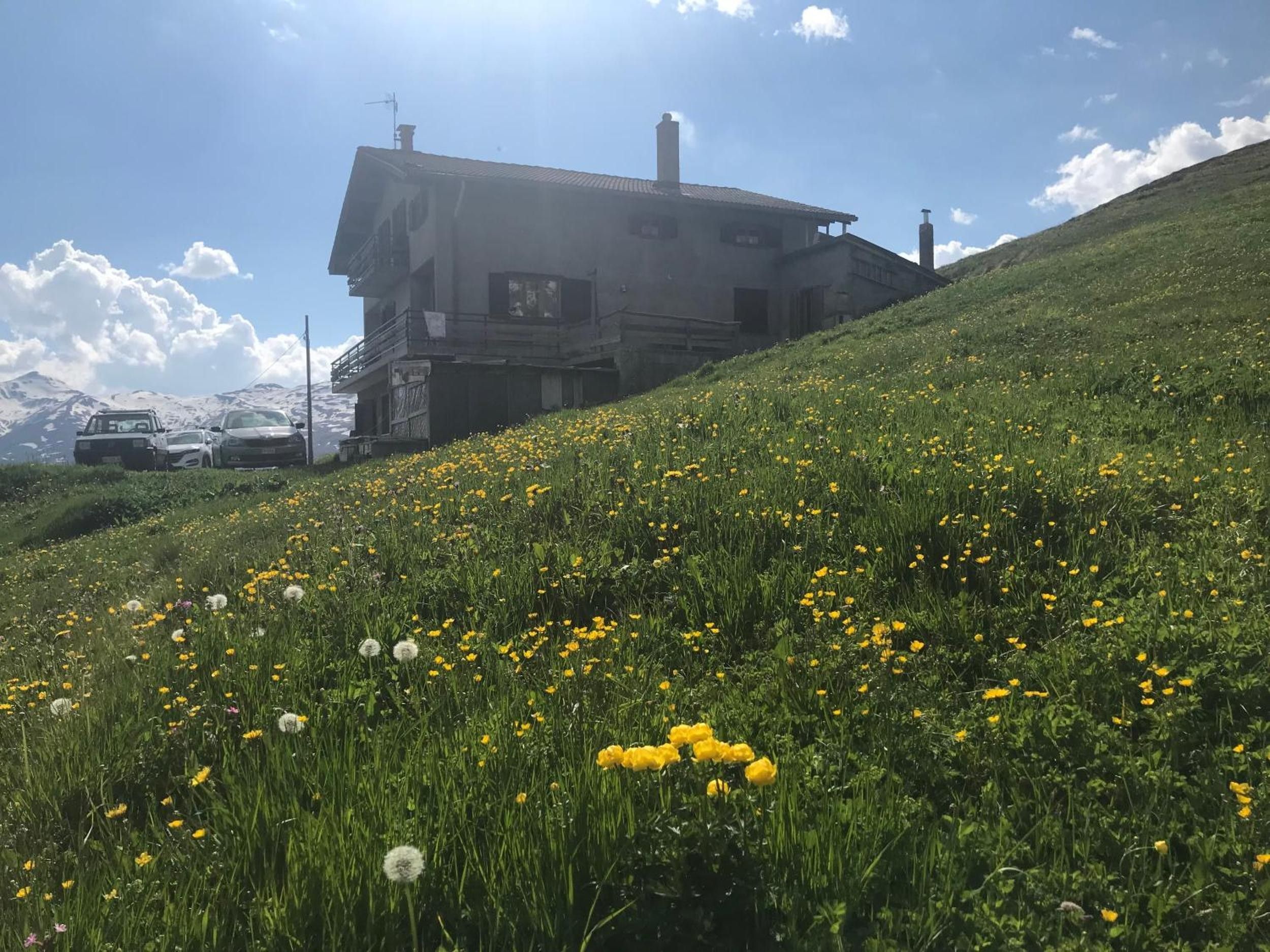 Una casa su una collina con un campo di fiori gialli in primo piano.