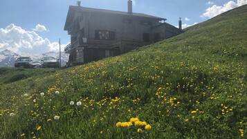 Una casa su una collina con un campo di fiori gialli in primo piano.