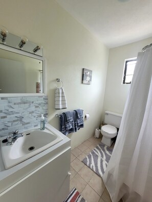 A bathroom with a white sink, a mirror, a toilet, and a shower curtain. - Modern 2 bed 2 bath home away from home perfectly located for visitors (Bridgetown)