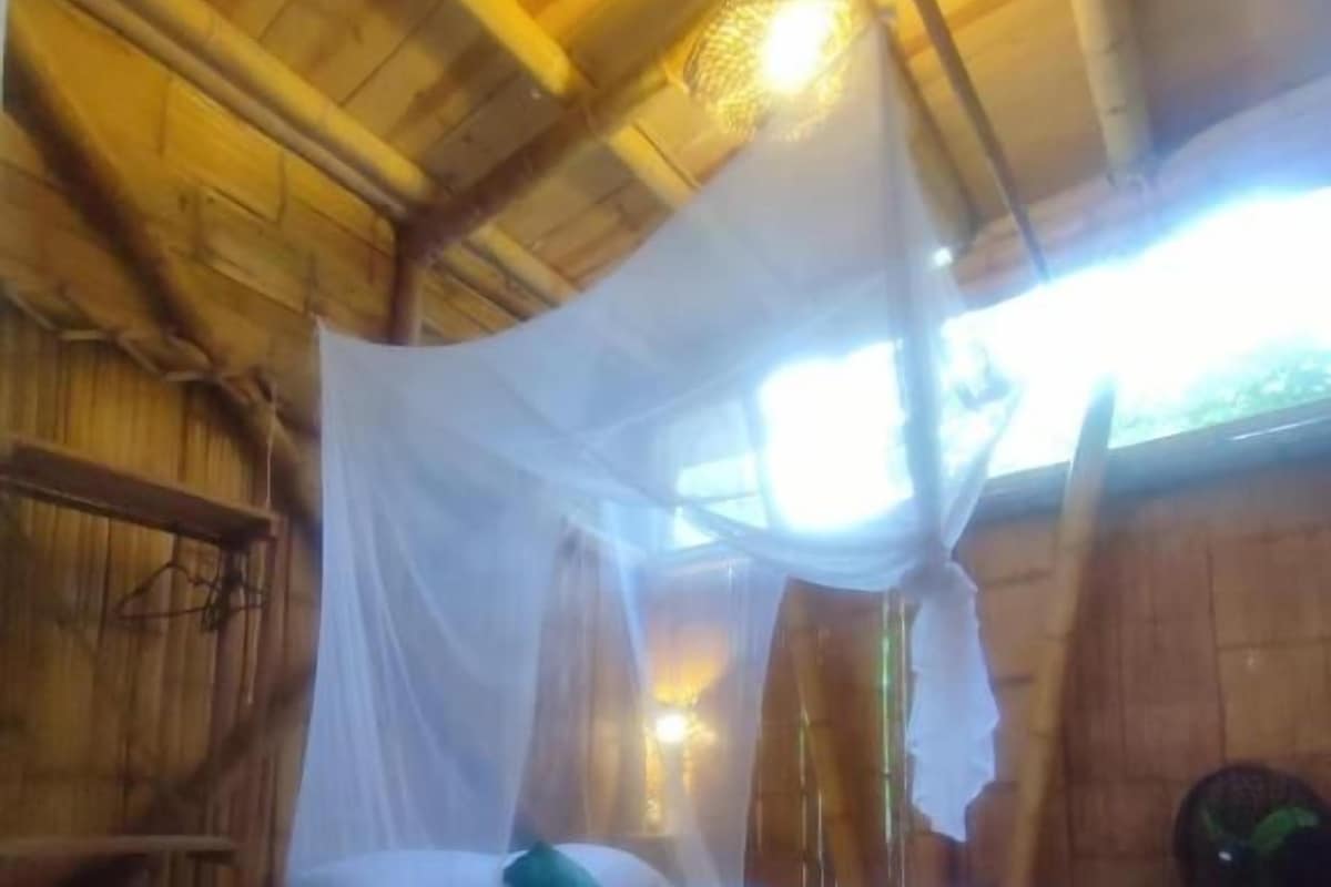 A room with a bed under a canopy, a bedside table, and a wall fan.