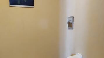 A bathroom with a toilet, a bidet, a toilet paper holder, and a handrail.