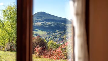 A view through a window of a rural landscape with a hill, fields, and a small village.