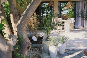 Un patio con plantas en macetas, una mesa y sillas.