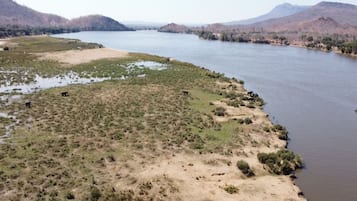 Un río con una orilla cubierta de hierba y algunos animales.