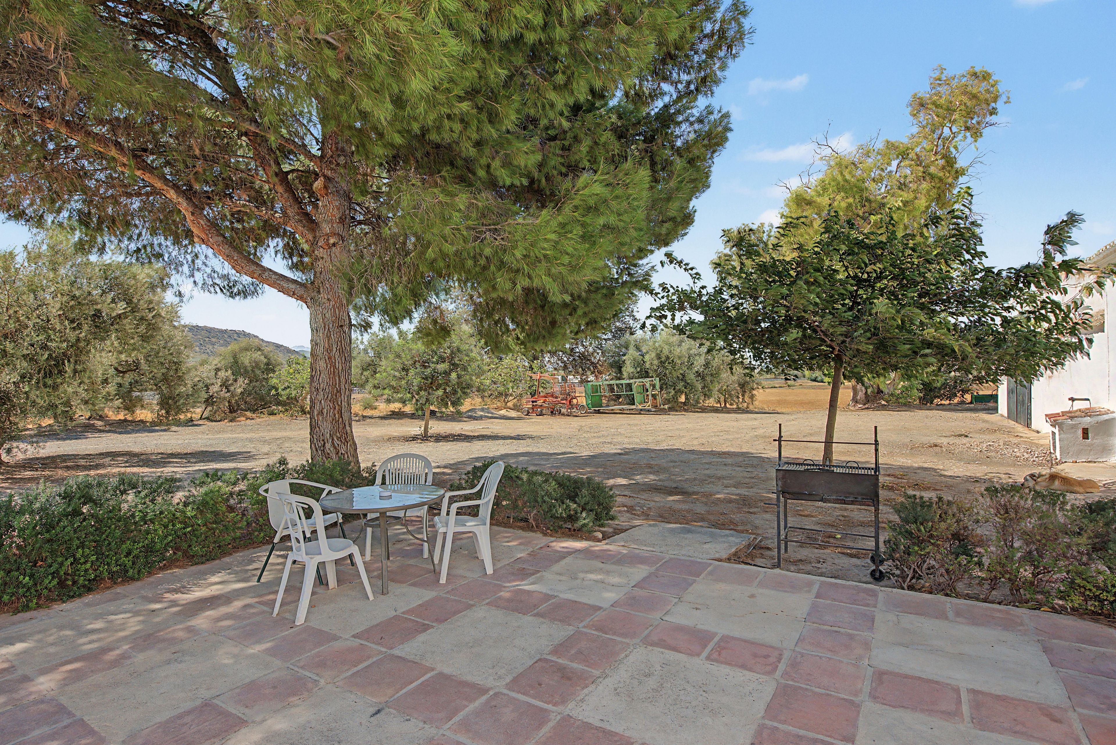 Une terrasse extérieure avec une table et des chaises, entourée d’arbres et sous un ciel dégagé.