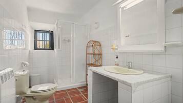 A bathroom with a toilet, a shower, a sink, and a mirror.