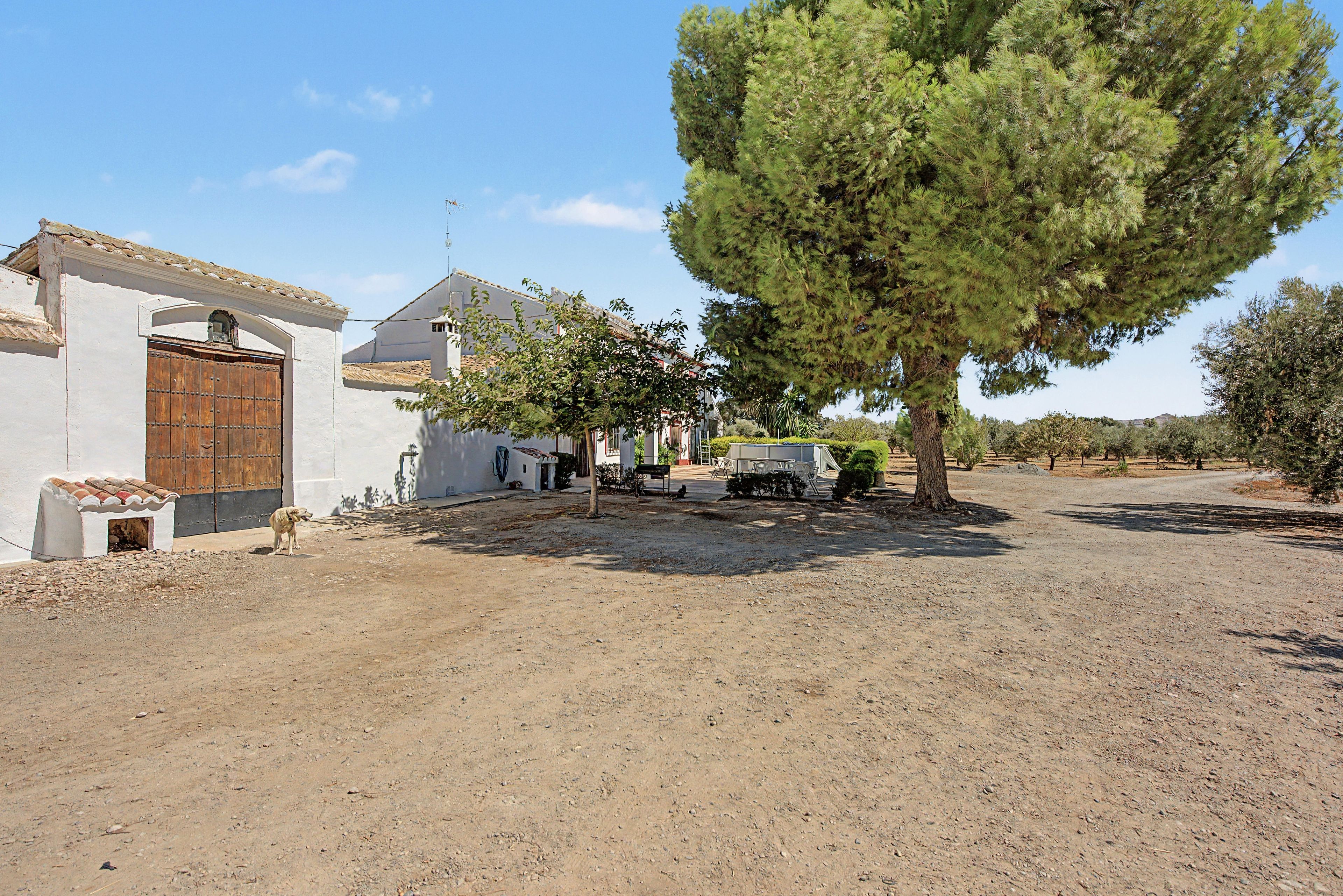 A rural property with a white building, a wooden door, and a large tree.