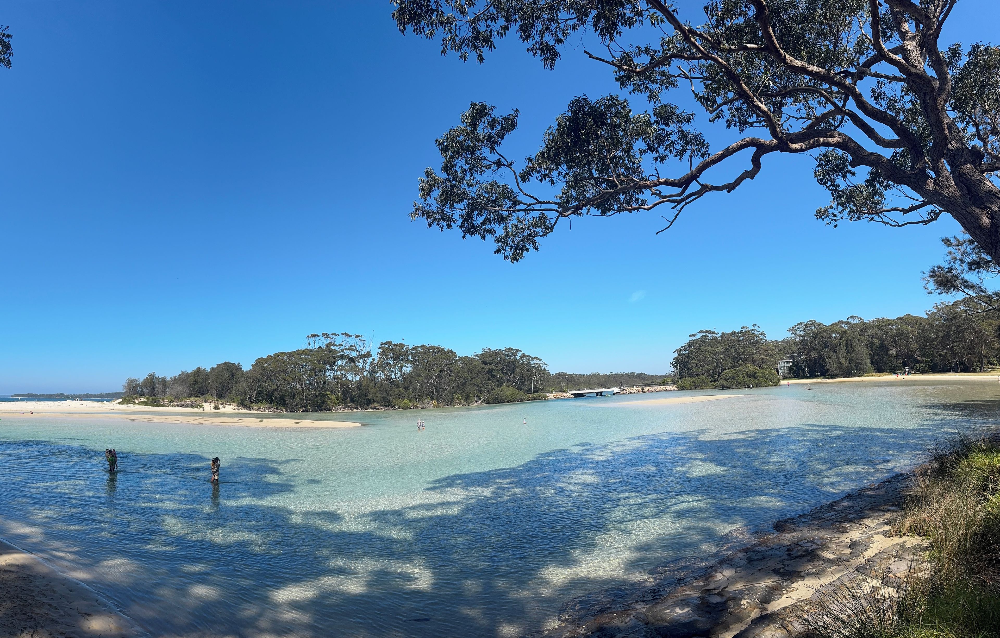 A beach with clear water, a sandy shore, and trees in the background.