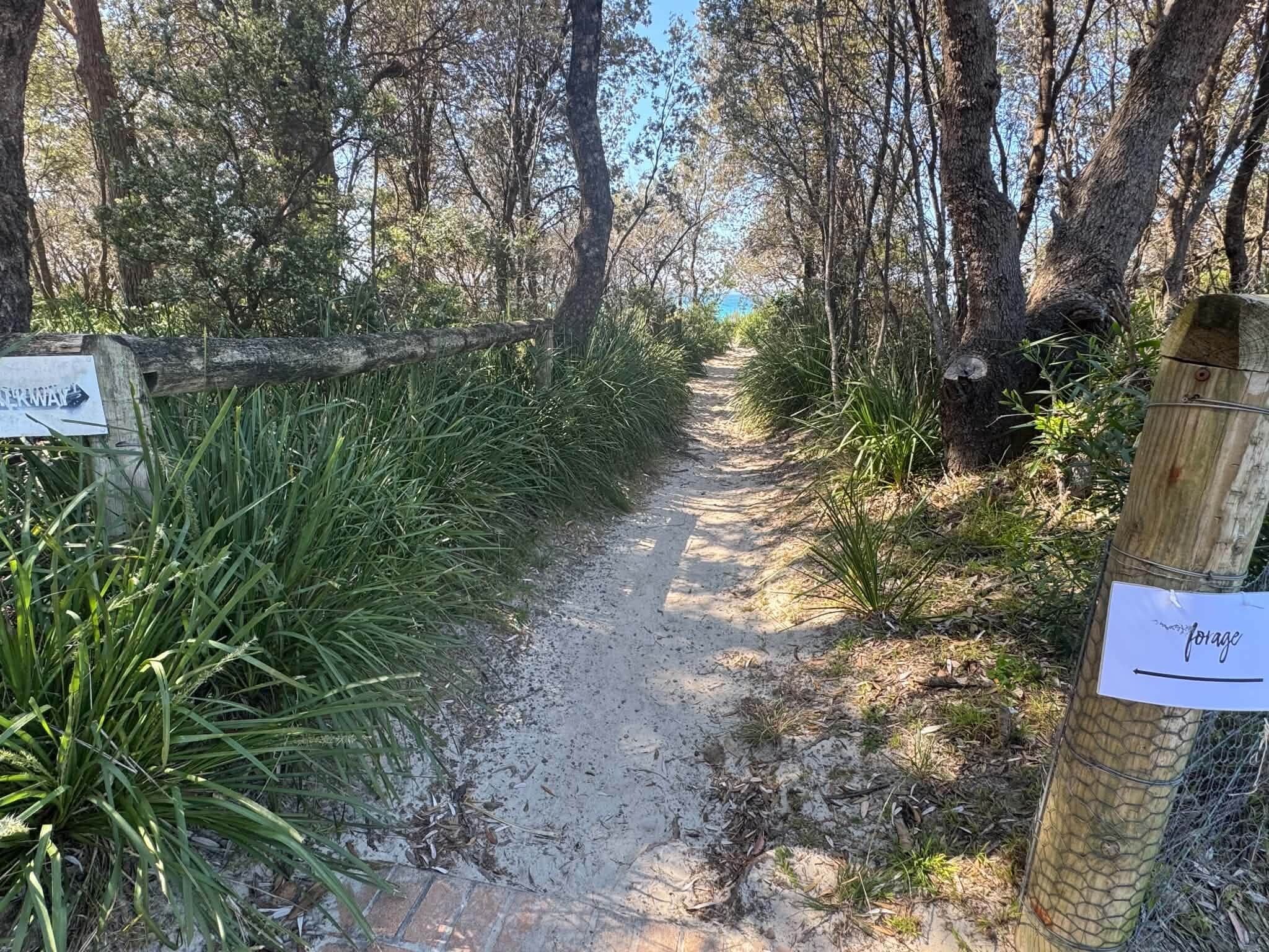 A dirt path in a wooded area with a sign indicating a direction.