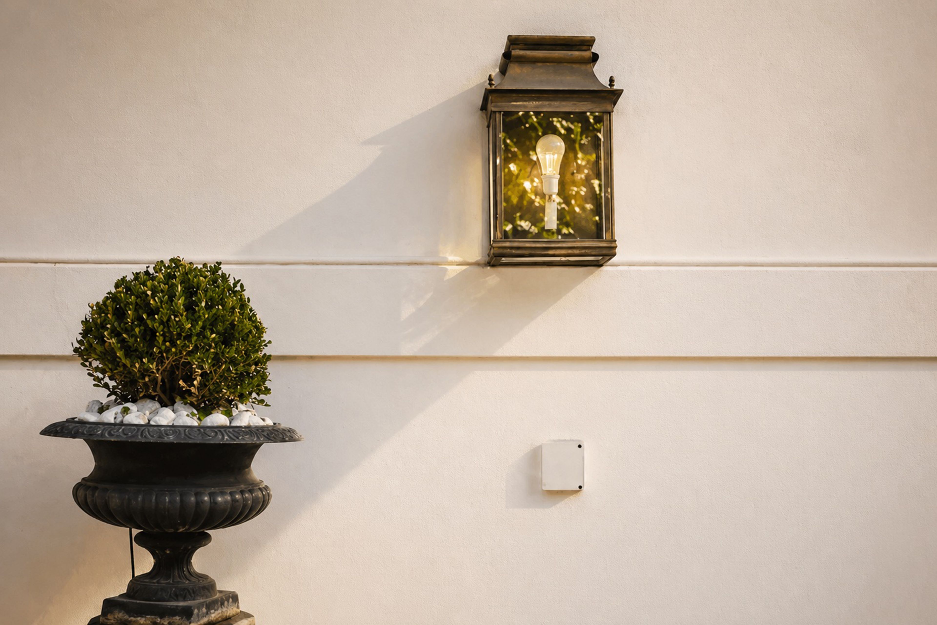 A potted plant with a spherical top, a wall-mounted light fixture, and a power outlet.